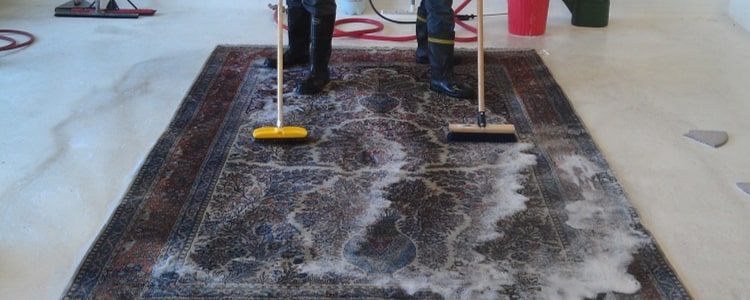 rug cleaning tranmere